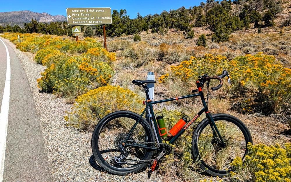 ShockStop System - Seatpost - Customer Photo From Mike Pailliotet