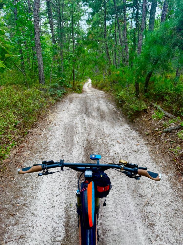 Top Shelf Flat Handlebar - Customer Photo From Brian de Mello