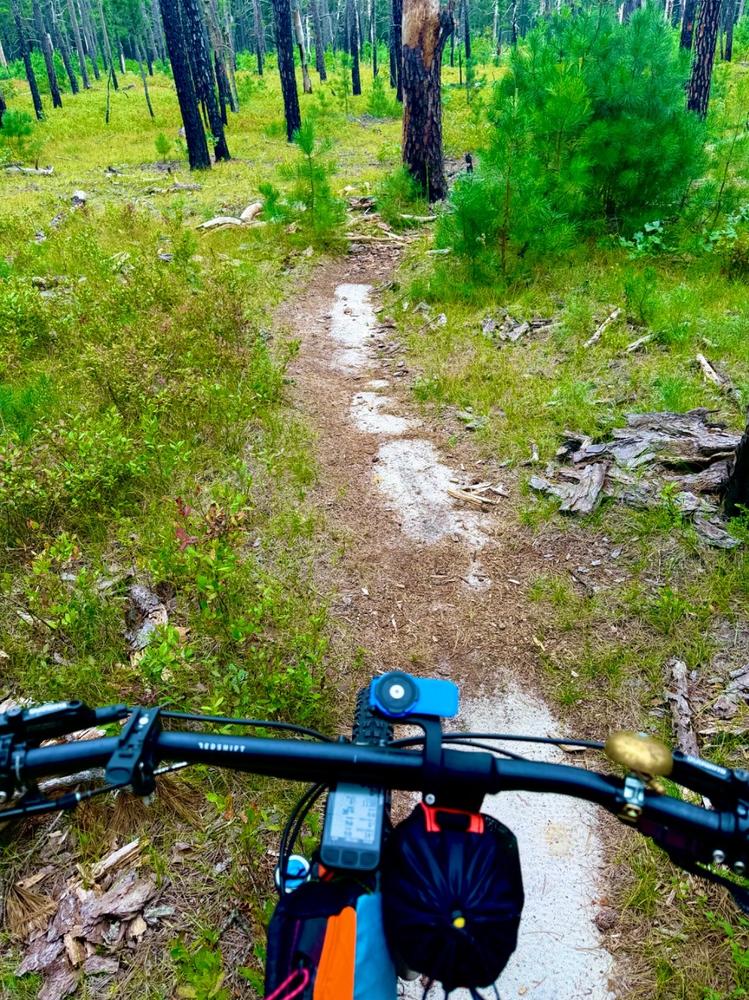Top Shelf Flat Handlebar - Customer Photo From Brian de Mello