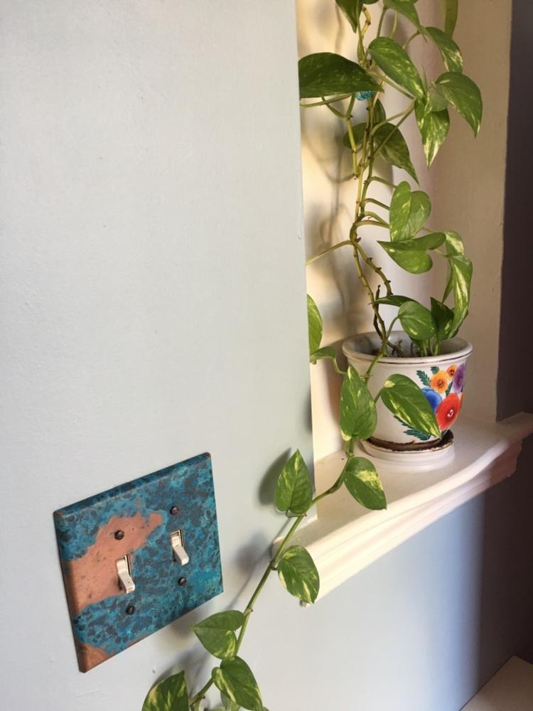 Italia Brushed Bronze Steel - 1 Duplex Wallplate - Customer Photo From Mary S.