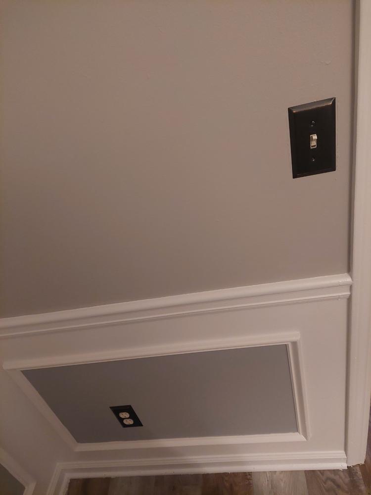 Century Aged Bronze Steel - 1 Blank Wallplate - Customer Photo From Benjamin L.