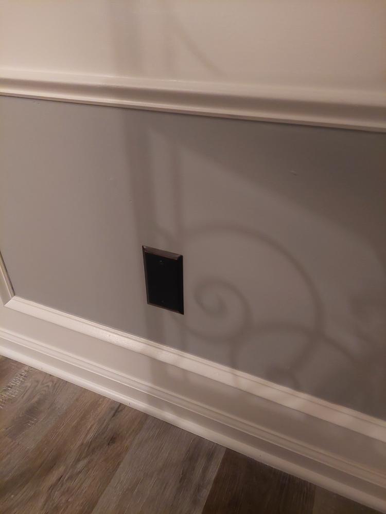 Century Aged Bronze Steel - 1 Blank Wallplate - Customer Photo From Benjamin L.