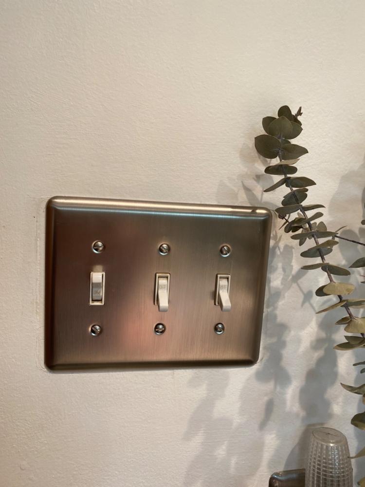Devon Brushed Nickel Steel - 3 Toggle Wallplate - Customer Photo From Nina Juergens