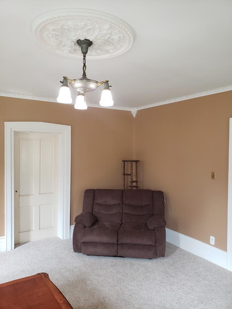 Charleston White Plastic - 2 Duplex Wallplate - Customer Photo From John B.