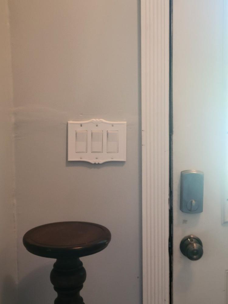 Charleston White Plastic - 1 Rocker Wallplate - Customer Photo From Thomas Shaw