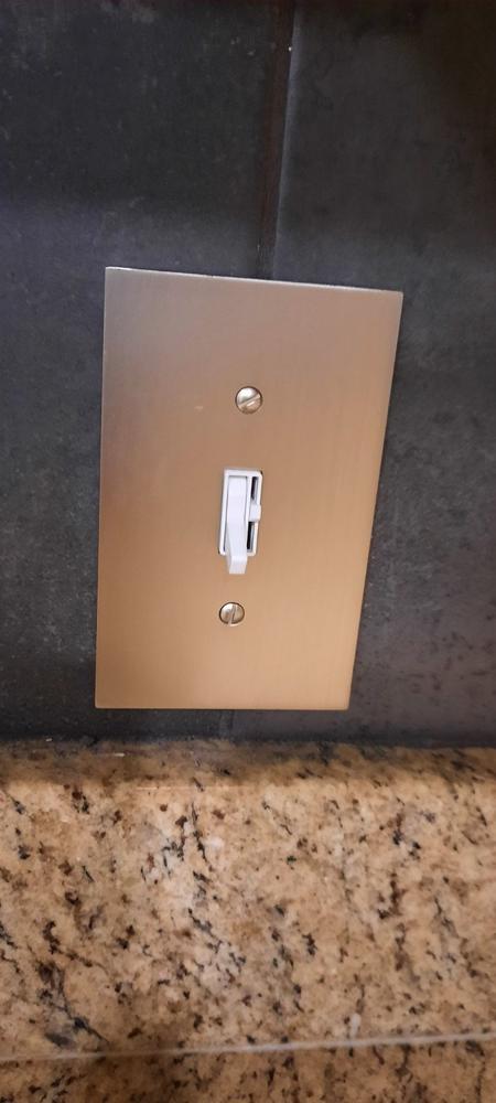Elan Brushed Nickel Cast - 1 Rocker Wallplate - Customer Photo From john Tasko