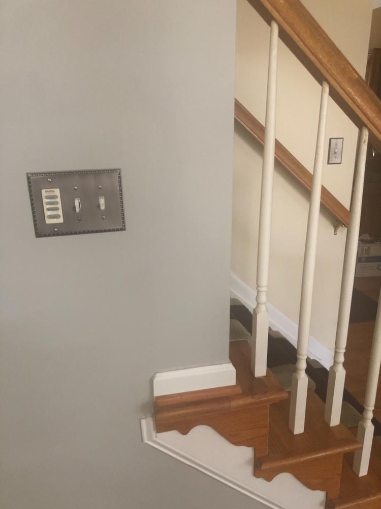 Egg & Dart Antique Nickel Cast - 2 Toggle / 1 Rocker Wallplate - Customer Photo From Mollie Williams