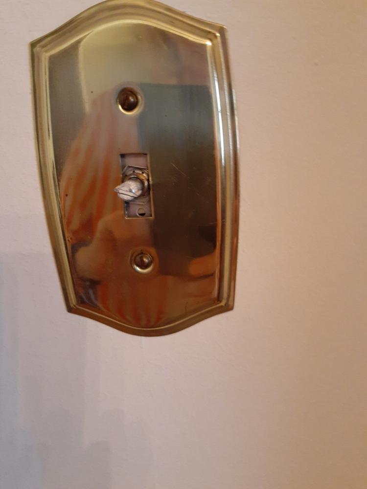 Polished Brass Cast - Dimmer Knob - Customer Photo From Lynn Hoggard