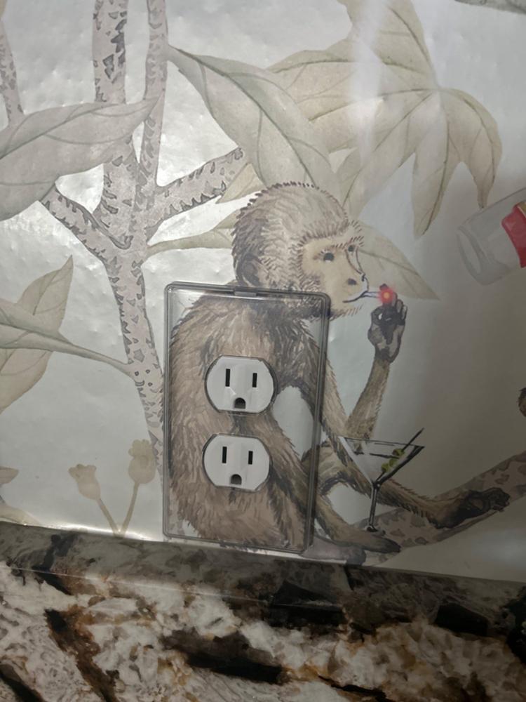 Paper-It Clear Screwless Plastic - 1 Duplex Wallplate - Customer Photo From Melissa H.