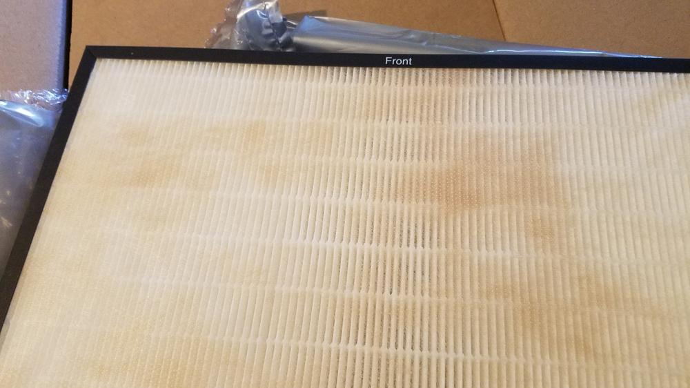 BioGS Classic HEPA Filter Rabbit Air