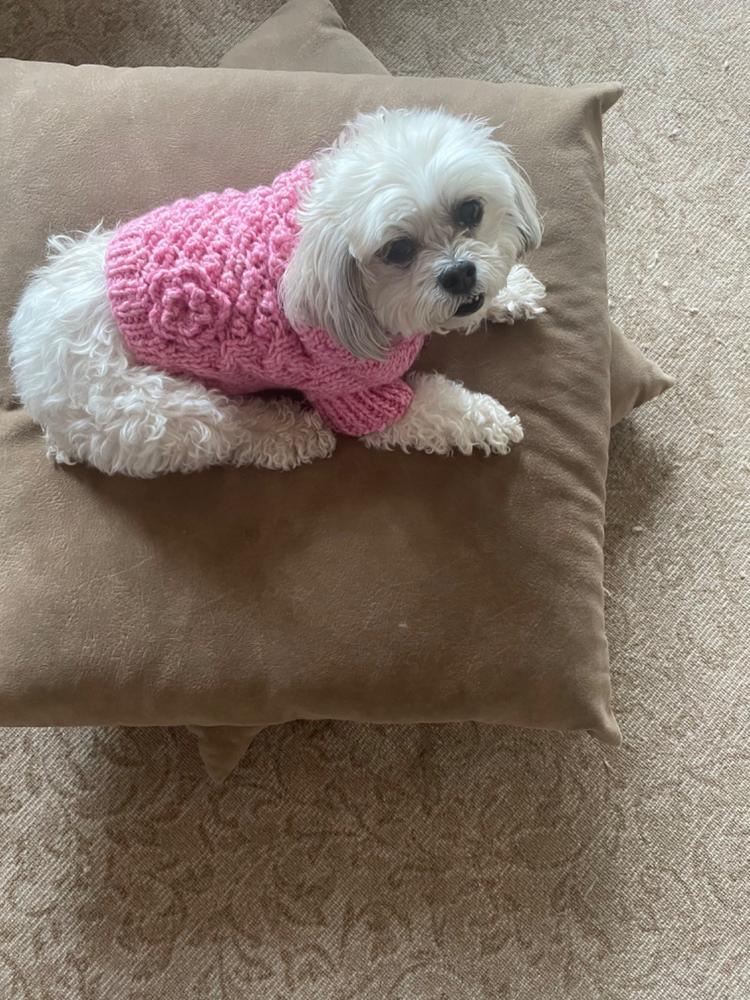 Pink Bobble Stitch Turtleneck Dog Sweater - Customer Photo From Tawana Williams 