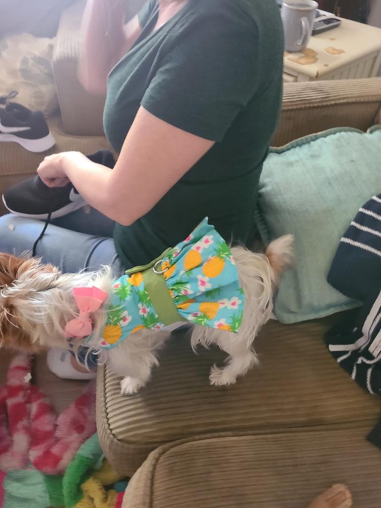 Pineapple Luau Dog Dress with Matching Leash - Customer Photo From Charles Horejs