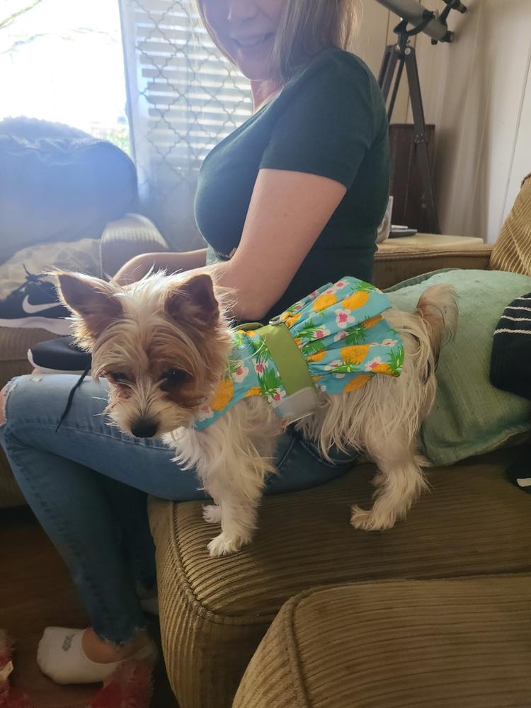 Pineapple Luau Dog Dress with Matching Leash - Customer Photo From Charles Horejs