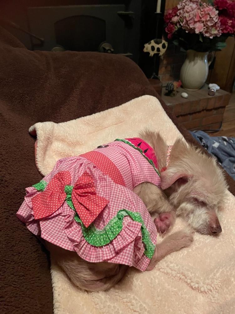 Watermelon Dog Dress - Customer Photo From Elizabeth Maughan