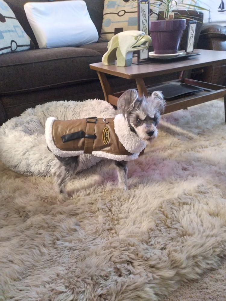 Brown & Black Bomber Dog Coat - Customer Photo From Anonymous