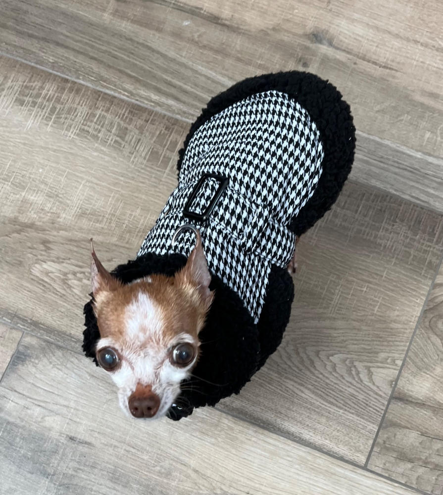 Black & White Classic Houndstooth Dog Coat - Customer Photo From Anonymous