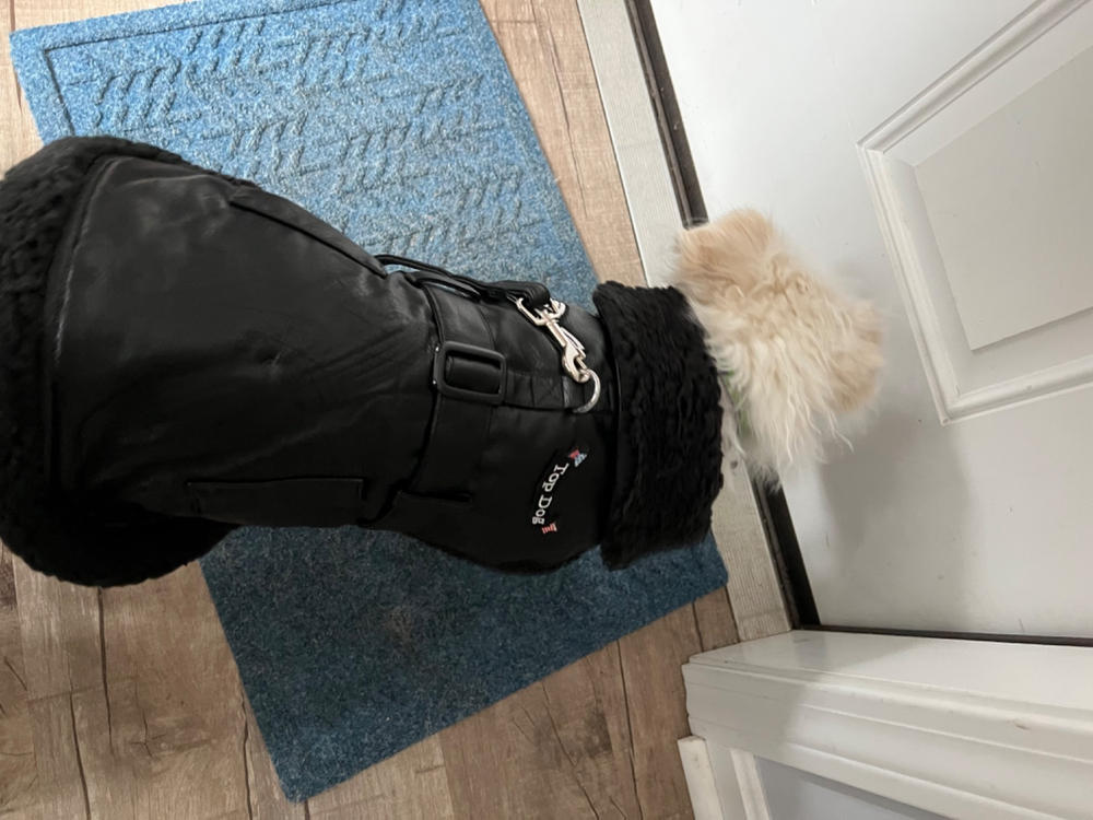 Black Bomber Dog Coat - Customer Photo From Anonymous