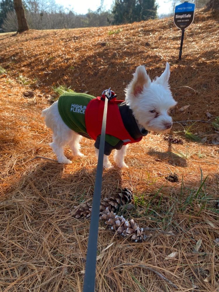 American River Step-In Dog Harness | Small Breeds & Puppies - Customer Photo From Mike Waite