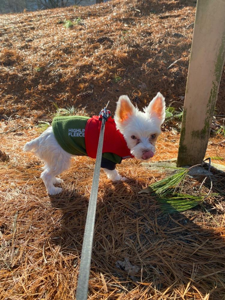 American River Step-In Dog Harness | Small Breeds & Puppies - Customer Photo From Mike Waite