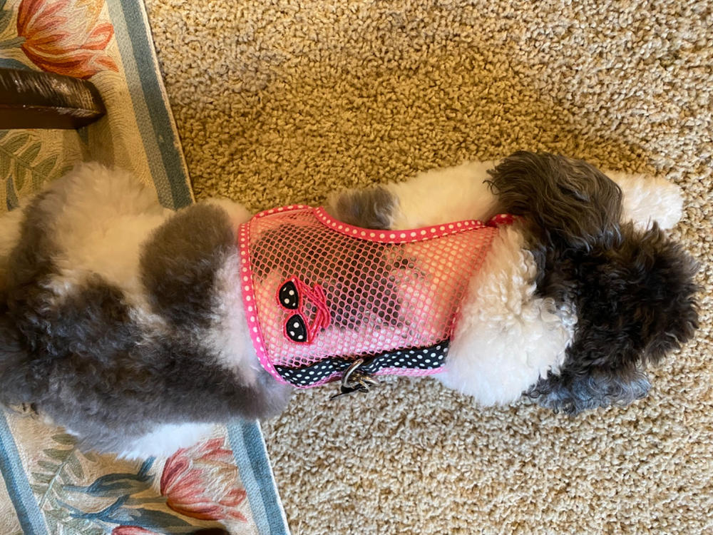 Cool Mesh Dog Harness for Small Dogs | Pink & Polka Dot - Customer Photo From Anonymous