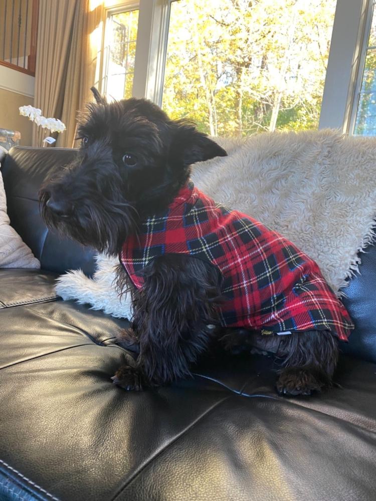 Gold Paw Stretch Fleece for Small Dogs - Plaid - Customer Photo From Kari Patey