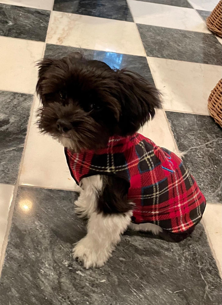 Gold Paw Stretch Fleece for Small Dogs - Plaid - Customer Photo From Amy Formby