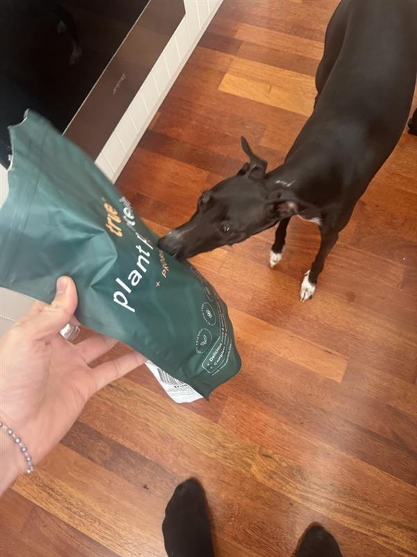 Plant Protein - Customer Photo From Simon Davies