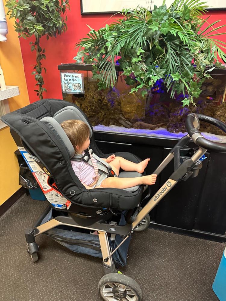 G5 Toddler Car Seat - Customer Photo From Denise Brady