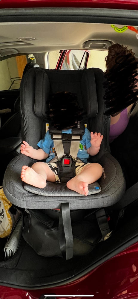 G5 Merino Wool Toddler Car Seat - Customer Photo From Daniel Whitworth