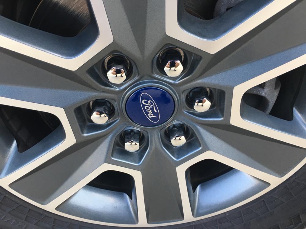 Ford F-150 Expedition One-Piece Lug Nut ACPZ-1012-B - Customer Photo From Gregory Smith
