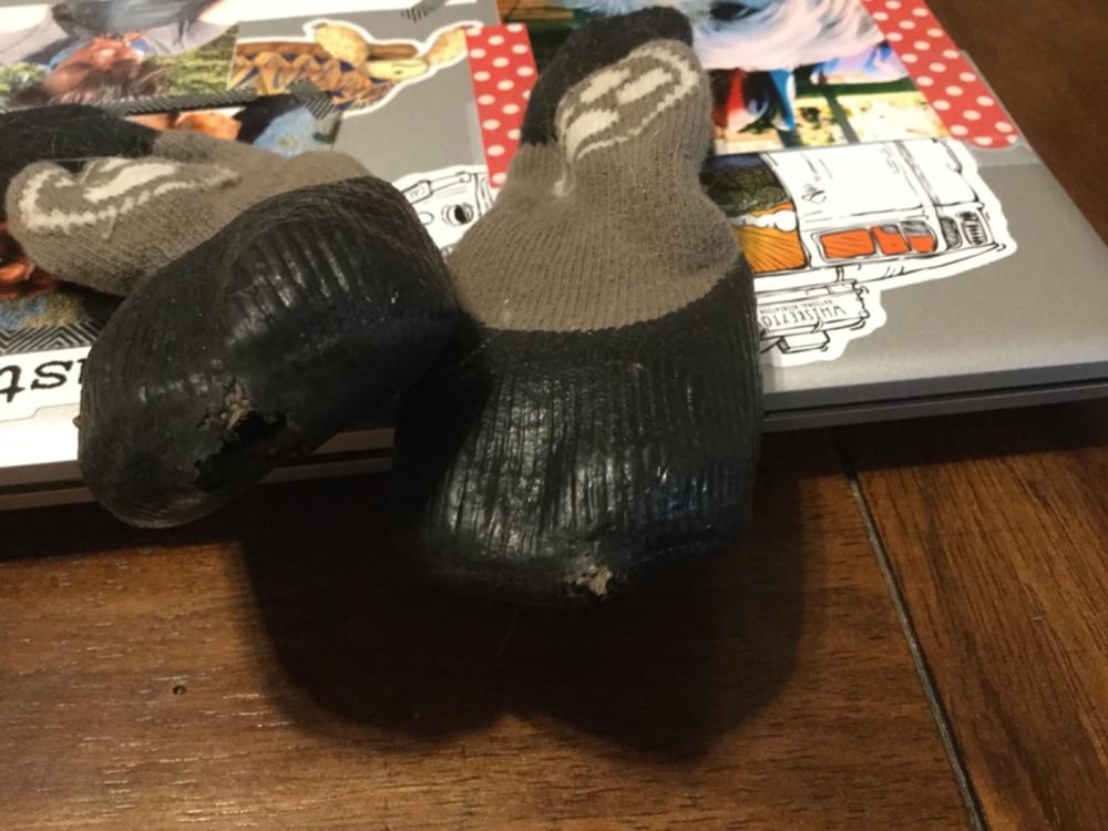 Grippers™ Non Slip Dog Socks Dog Quality