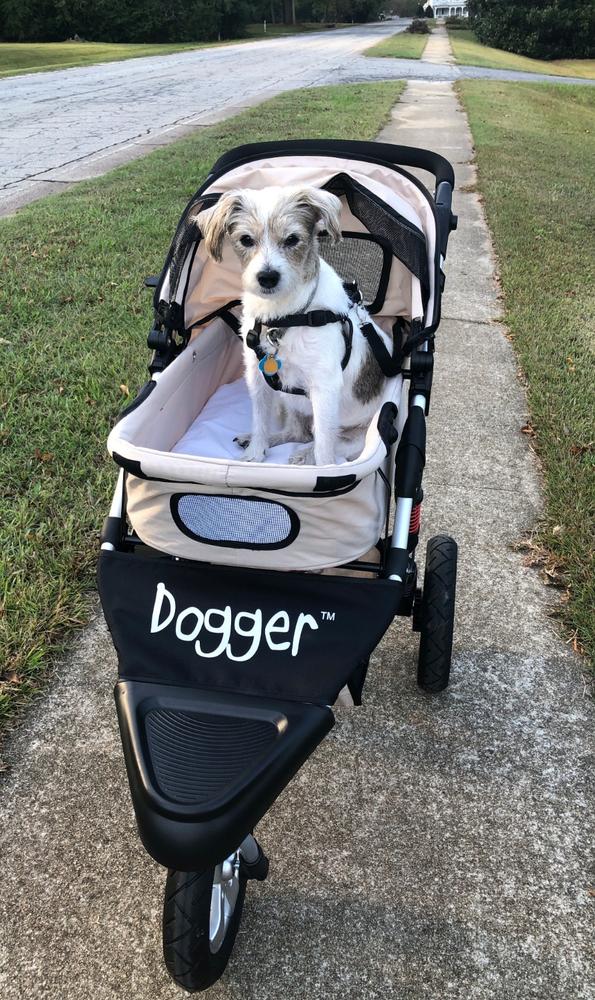 Dogger™ The SUV of Dog Strollers Dog Quality