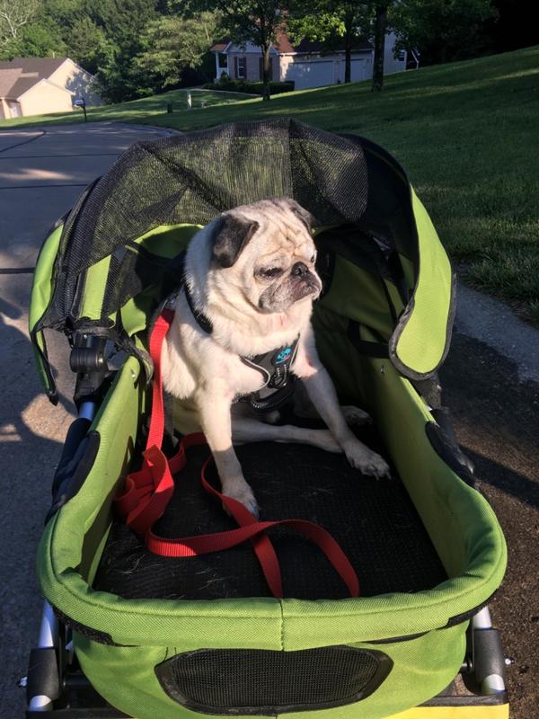 Dogger™ The SUV of Dog Strollers Dog Quality