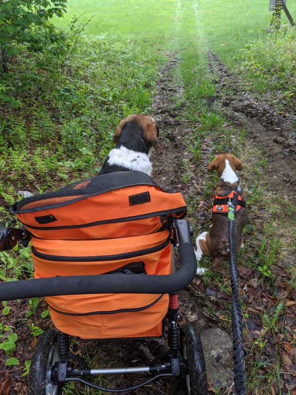 Dogger™ The SUV of Dog Strollers Dog Quality