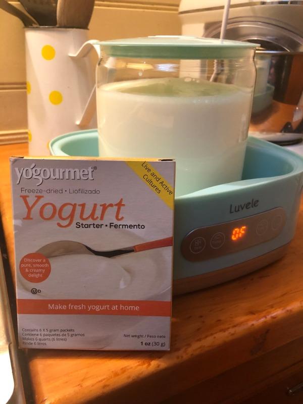 Yogourmet Traditional Yoghurt Starter SCD Friendly | 54 grams - Customer Photo From Tina McDonald