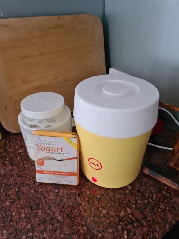 Yogourmet Traditional Yoghurt Starter SCD Friendly | 54 grams - Customer Photo From David Lovell