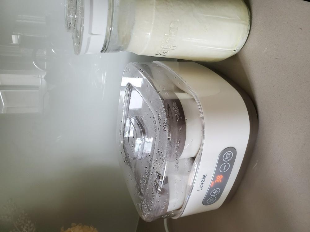 Luvele Pure Yogurt Maker | 4x 400ml Ceramic Jars SCD & GAPS DIET | Total capacity 1.5L - Customer Photo From Tony Haouchab