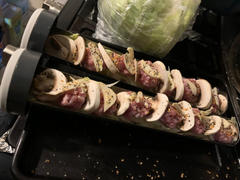 GoSun Go (2-Pack) Review