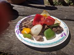 GoSun Go (2-Pack) Review