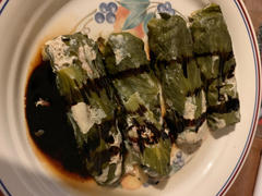 GoSun Go (2-Pack) Review