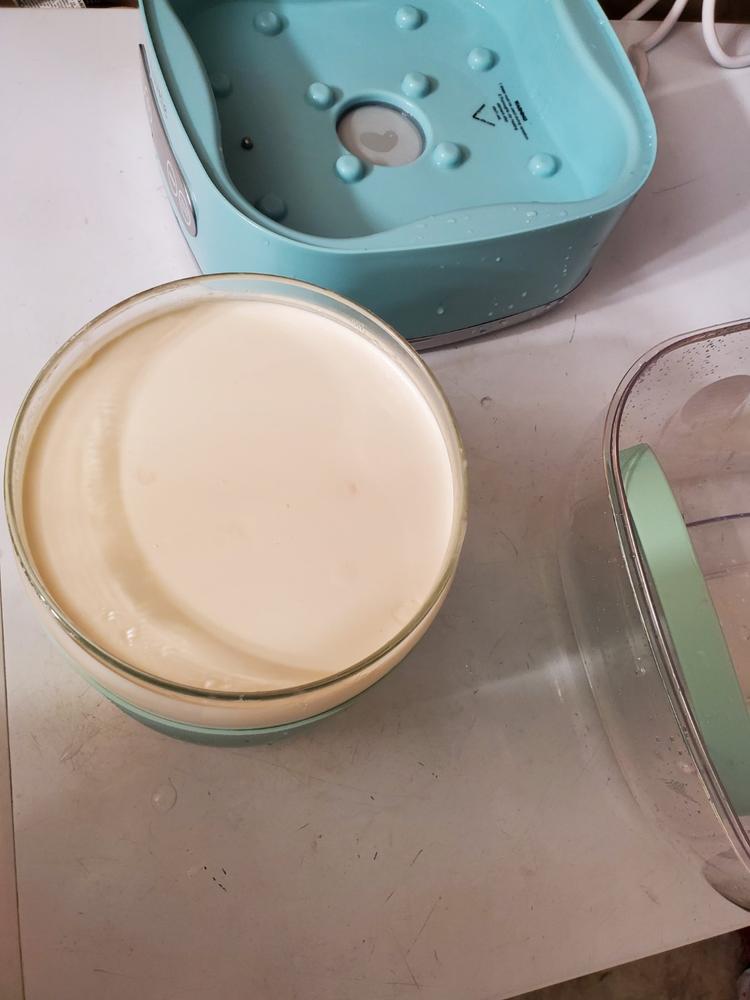 Luvele 2 Litre | (2.1qt.) Glass Yogurt Container | Compatible with Pure Plus Yogurt Maker - Customer Photo From Edward Stanis