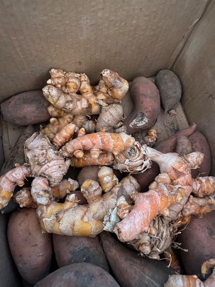 Certified Organic Fresh Turmeric Root, 1/2 lb. - Customer Photo From Anonymous