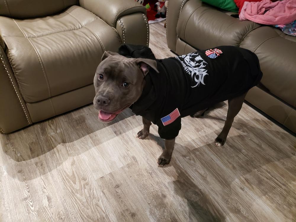 hoodies for pit bulls