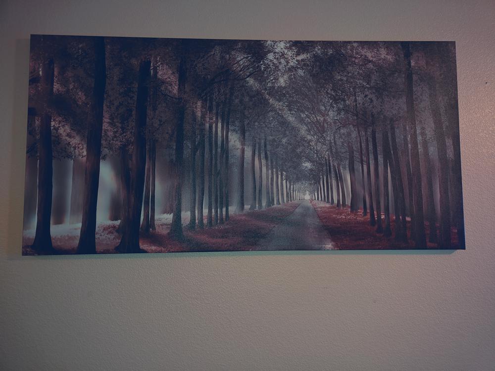 Forest Strolls Canvas - Customer Photo From Shawn
