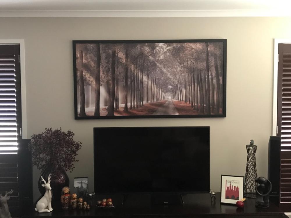 Forest Strolls Canvas - Customer Photo From Glen Gleeson