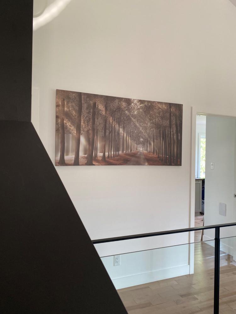 Forest Strolls Canvas - Customer Photo From Carole Reid