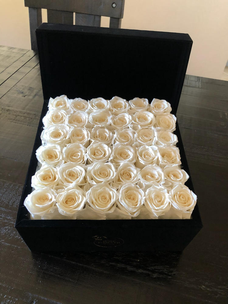 White Roses Velvet 36 - Customer Photo From Hessam Zarbakhsh