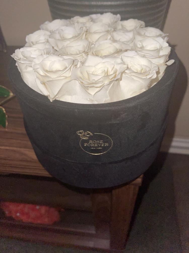 Ivory Roses velvet 16 - Customer Photo From Elizabeth Guzman