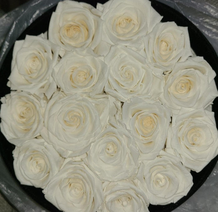 White Roses velvet 16 - Customer Photo From Melissa Grullon