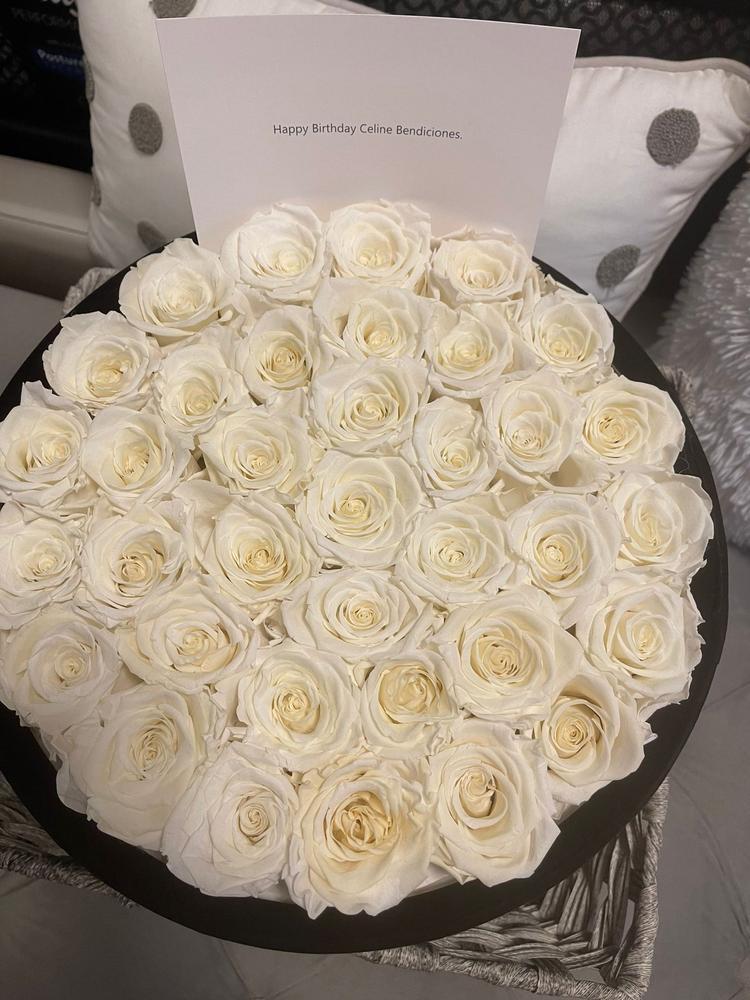 Ivory Roses velvet 36 - Customer Photo From Charimar Diaz